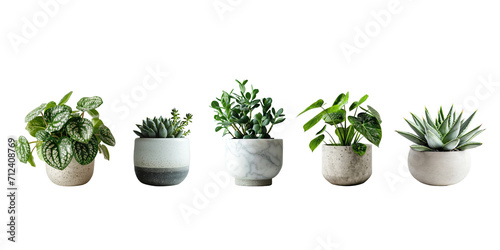 Set of Green plants in potted for interior decoration isolated on transparent png background, Houseplant for decorated in bedroom or living room, minimal natural health concept. photo