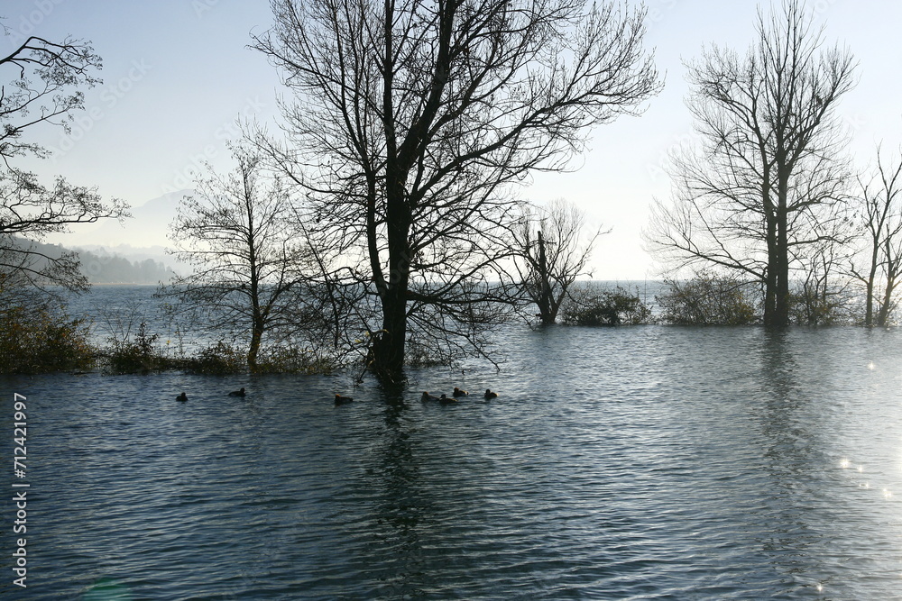 Inondations vers le lac du Bourget à Aix-les-Bains dans le département de la Savoie en hiver Inondations vers le lac du Bourget à Aix-les-Bains dans le département de la Savoie en hiver