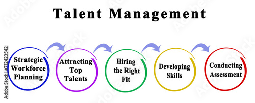 Five Components of  Talent Management photo