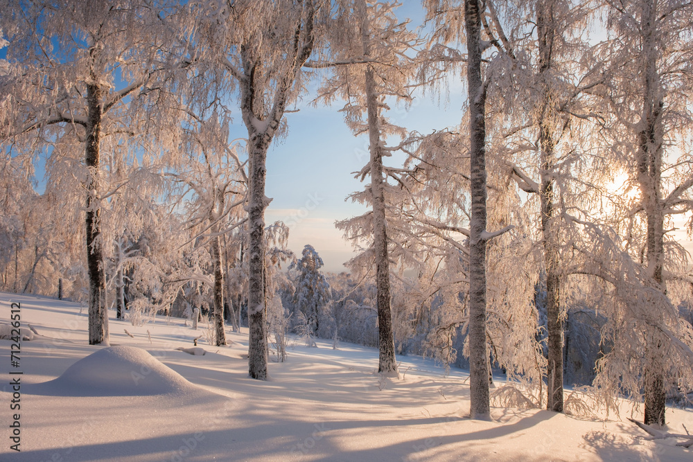 Winter snow-covered trees in the Ural mountains Winter snow-covered trees in the Ural mountains