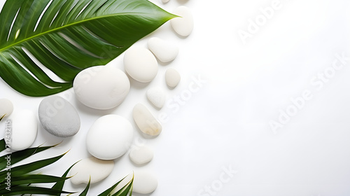 Sea stones and palm on a white isolated background