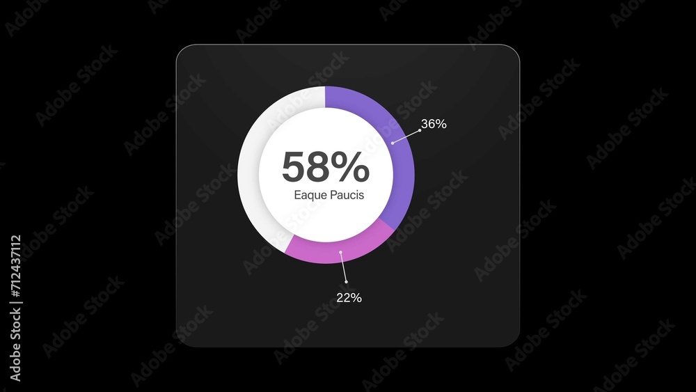 Infographic Pie Chart Animation Template Stock Template | Adobe Stock