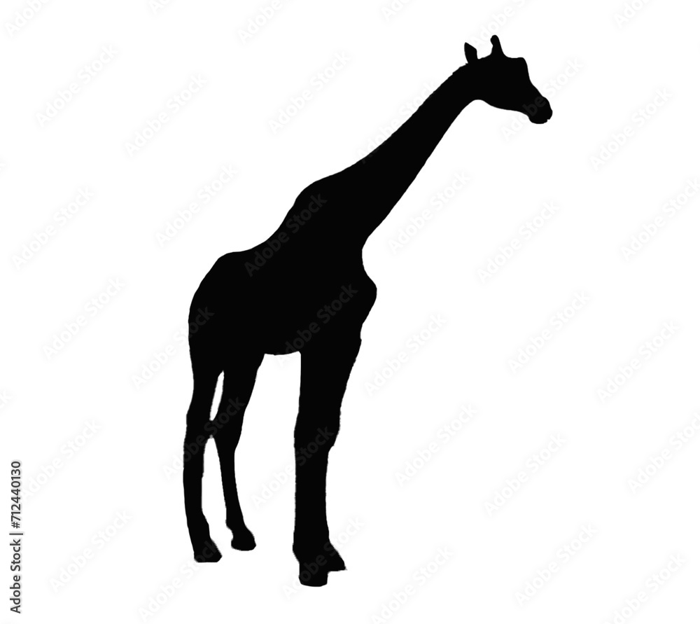 Obraz premium Black giraffe sill silhouette transparent PNG