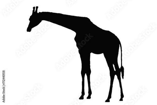 Black giraffe sill silhouette transparent PNG