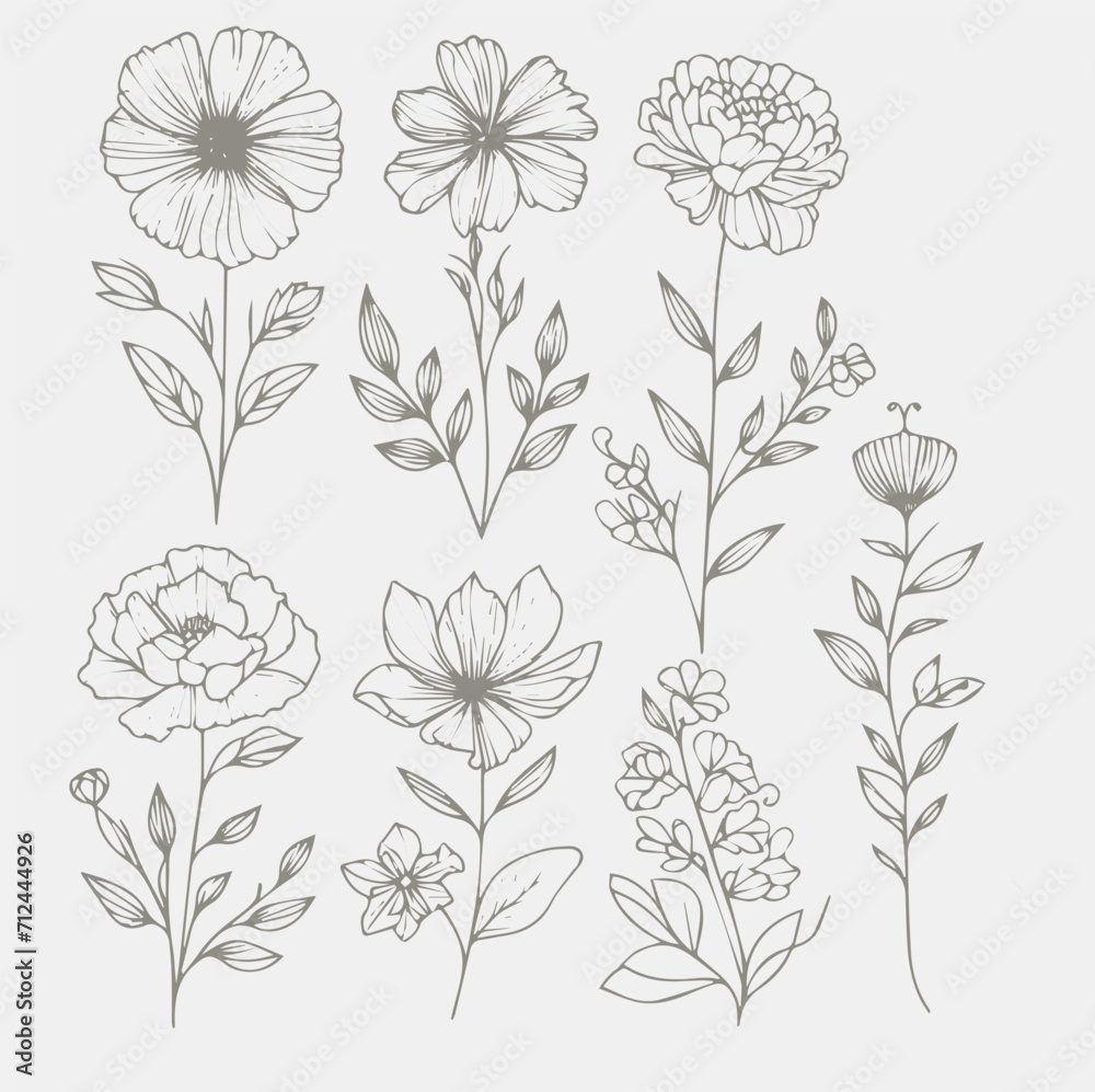 Set of vector hand drawn flowers. Floral design elements. Can be used for cards, invitations, banners, posters, print design. Set of vector hand drawn flowers. Floral design elements. Can be used for cards, invitations, banners, posters, print design.