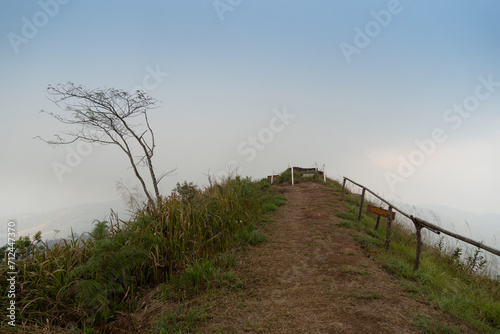 Landscape view walking path with green grass covering both sides and protection of fence. Route heads to the mountaintop view point Phu Langka. At Phu Langka Phayao Province of Thailand. 