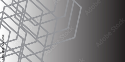 Modern minimal and clean silver background with realistic line wave geometric hexagon shape, abstract salver colors with lines pattern texture computer geometric digital connection design.