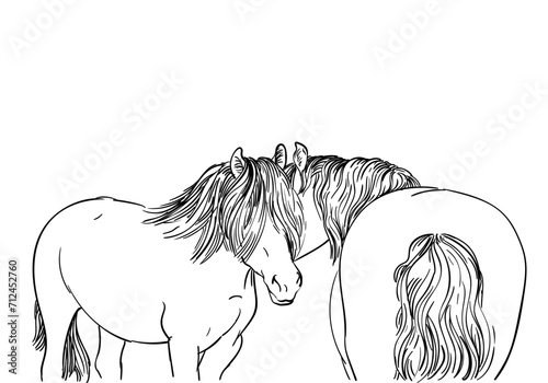 Two horses showing affection for each other, Freehand sketch, Horse friendship behavior, Vector illustration black lines drawing isolated on white