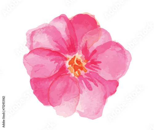 pink flower watercolor