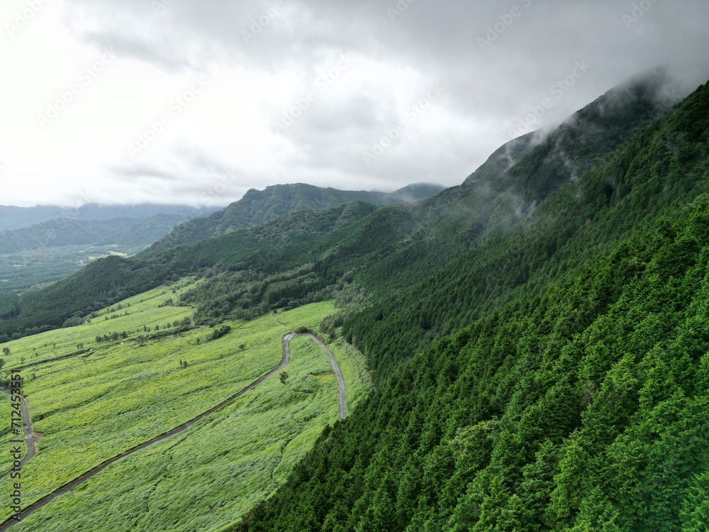 Fototapeta premium Japan Nature