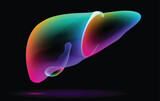 Illustration of a multicolored overlay in the shape of a human liver floating on a black background. Used in advertising, commerce, industry and medicine.