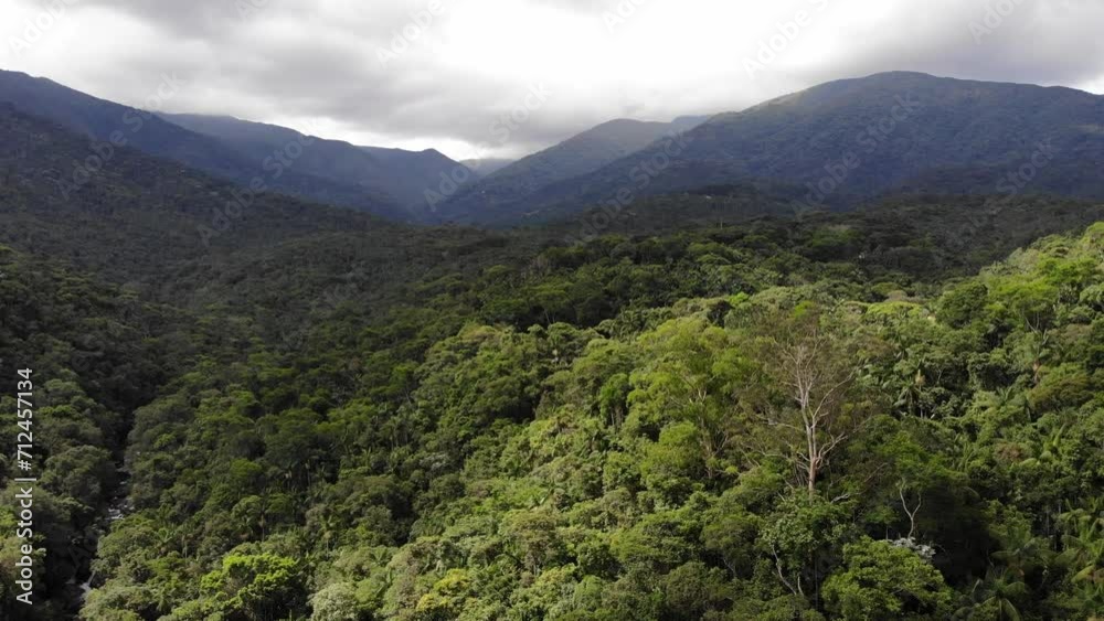tropical forest with mountains and clouds tropical forest with mountains and clouds