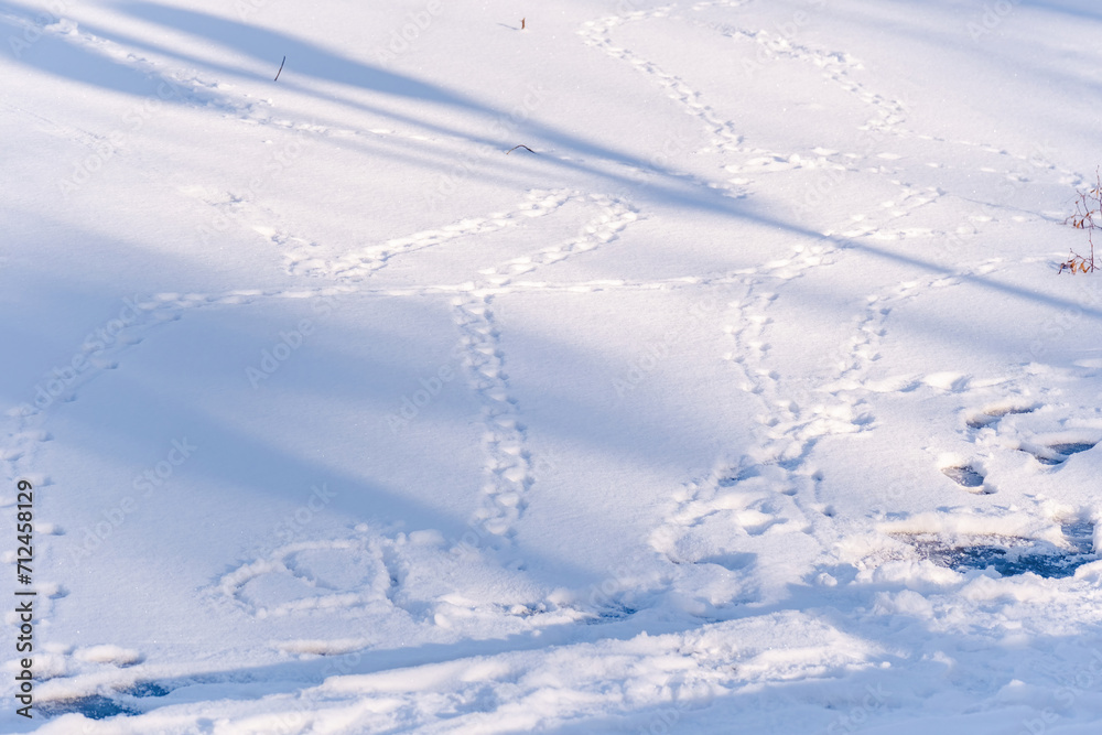 Obraz premium Winter in park, snow fairy tail