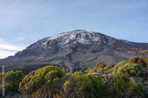 Mount Kilimanjaro, Tanzania, the highest mountain of Africa covered with snow. Landscape view with yellow flowers and tropical trees in the foreground.