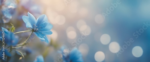 Blue beautiful flower on a beautiful toned blurred background, border. Delicate floral background
