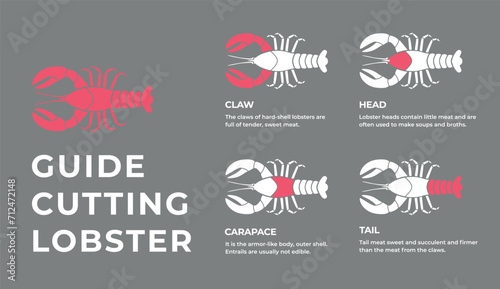 Cutting meat lobster carcass, seafood, turkey, pork, lamb, cow, chicken guide. Diagrams сutting parts meat lobster, seafood. Butcher guide. Vector flat color drawing illustration. Isolated.