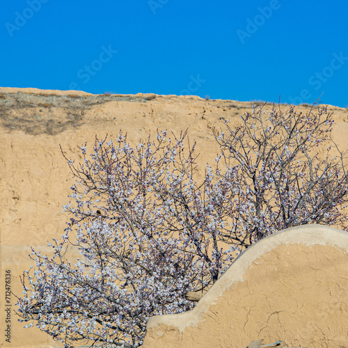 Yongtai Ancient Town, Baiyin City, Gansu Province - Residential buildings under the blue sky photo