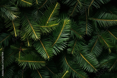Nature s Embrace  Lush Pine Tree Branches Close-Up