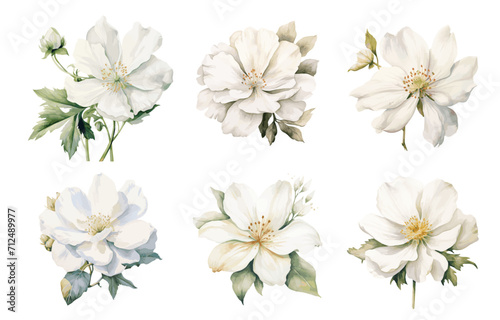 Set of white watercolor flowers. Wedding concept. Floral poster, invitation. Elements for postcard or invitation design background. Vector illustration