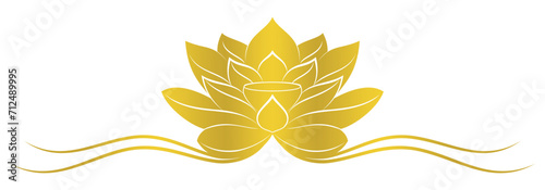 illustration of a lotus flower