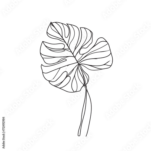 Tropical monstera palm leaf line art illustration