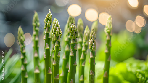 Fresh asparagus tips rise up  backlit by the ambient glow of a bustling marketplace