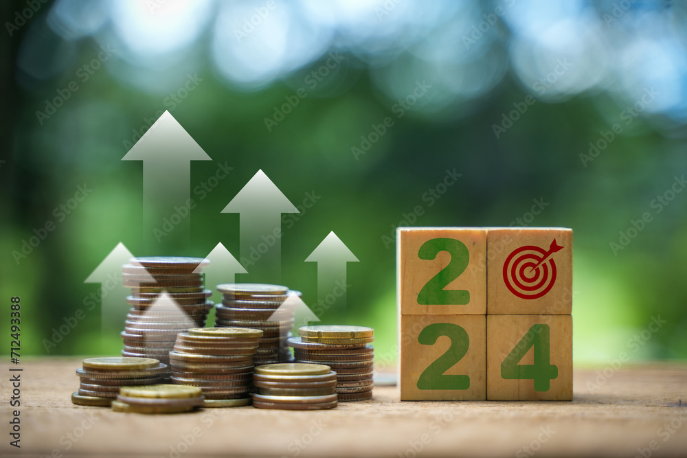 Year number 2024 new target Plan and vision for 2024, development goals