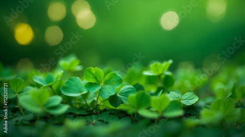 Shamrocks on a green background and bokeh celebrate St. Patrick's Day.
