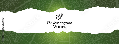 Horizontal banner with vine leaf texture. Natural textured template. horizontal banner for wine designs. Web header. Torn paper frame for your text. Vector. Editable color. Vector