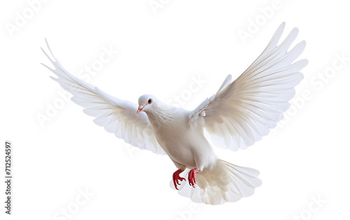 Appearing Dove On Transparent Background.