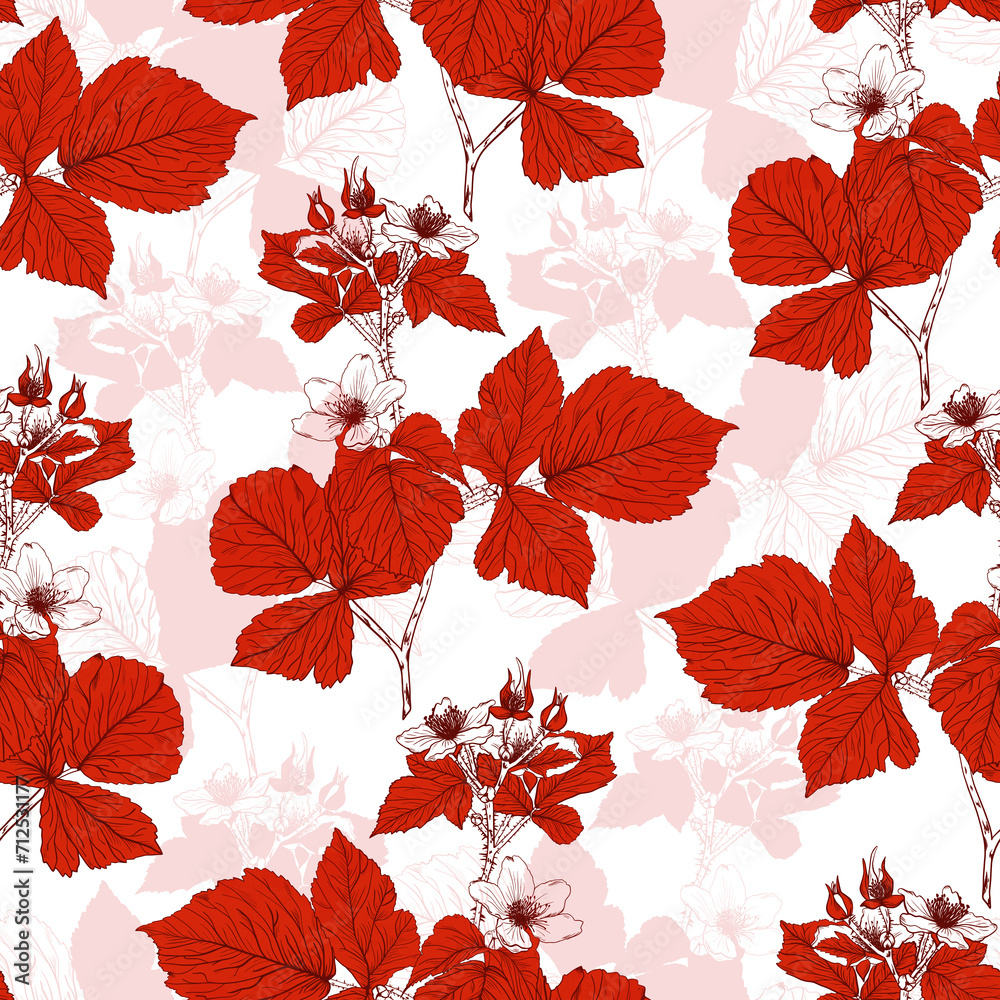 Floral botanical pattern with a sketch of a blooming blackberry branch in red and white color on a white background.