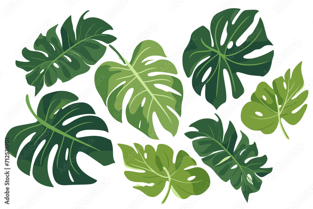Tropical leaves collection. Vector isolated elements on the white background. Tropical leaves collection. Vector isolated elements on the white background.