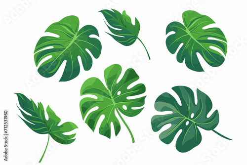 Tropical leaves collection. Vector isolated elements on the white background.