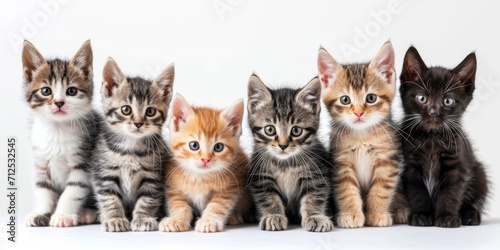 group of kittens of different colors on a light background Generative AI photo