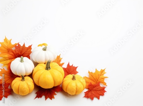 Various fresh ripe pumpkins with dry maple leaves isolated white background, top view photo with copy space