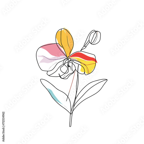 Elegant line drawing of an orchid flower. Illustration for invites and cards