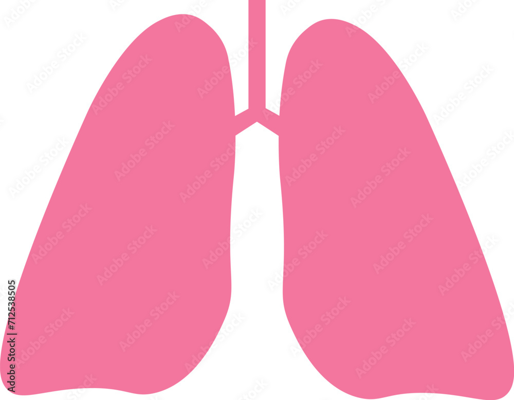 Lungs vector design. Human lungs vector.