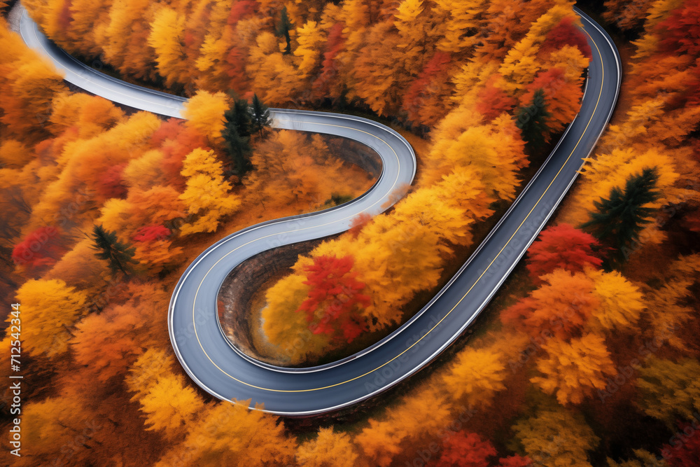 Scenic drive through an autumnal forest in Salzburg, Austria
