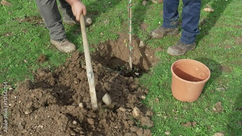 Unos jardineros plantando un árbol en el bosque.