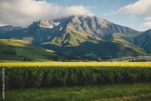 Floral Summer Mountain View with Green Meadows and Blue Sky