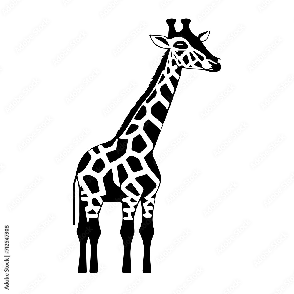 Obraz premium giraffe isolated on white
