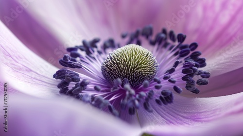  a close up of a purple flower with a white center and a yellow stamen in the middle of the center.