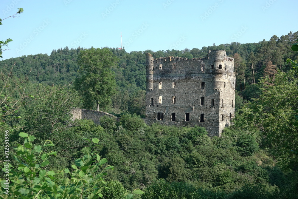 Burg Balduinseck im Hunsrueck