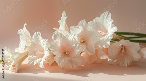  a group of white flowers sitting on top of a pink table top next to a green leafy plant on a pink surface.