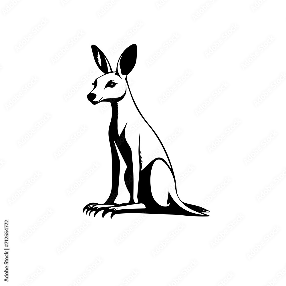 kangaroo illustration kangaroo illustration