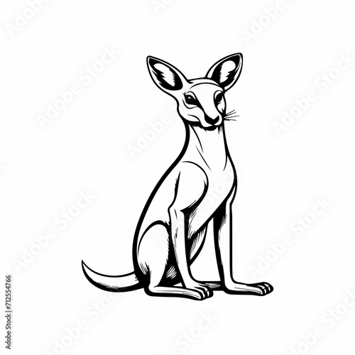 kangaroo vector illustration