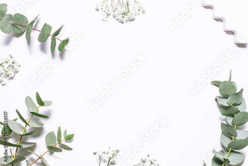 Beautiful frame made with fresh green eucalyptus branches and beautiful flowers on white background with copy space for your design.