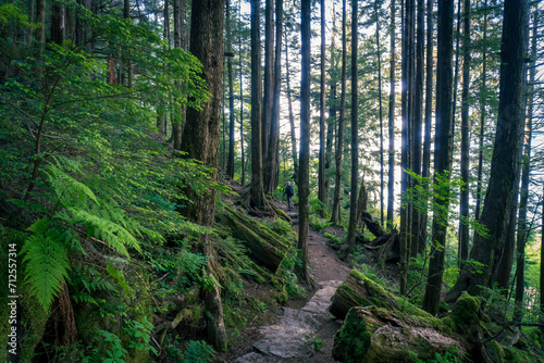 Rainbird Hiking Trail in Tongass National Forest in Ketchikan, Alaska. Sitka spruce, ferns, and rocky trail through temperate rain forest.   photo