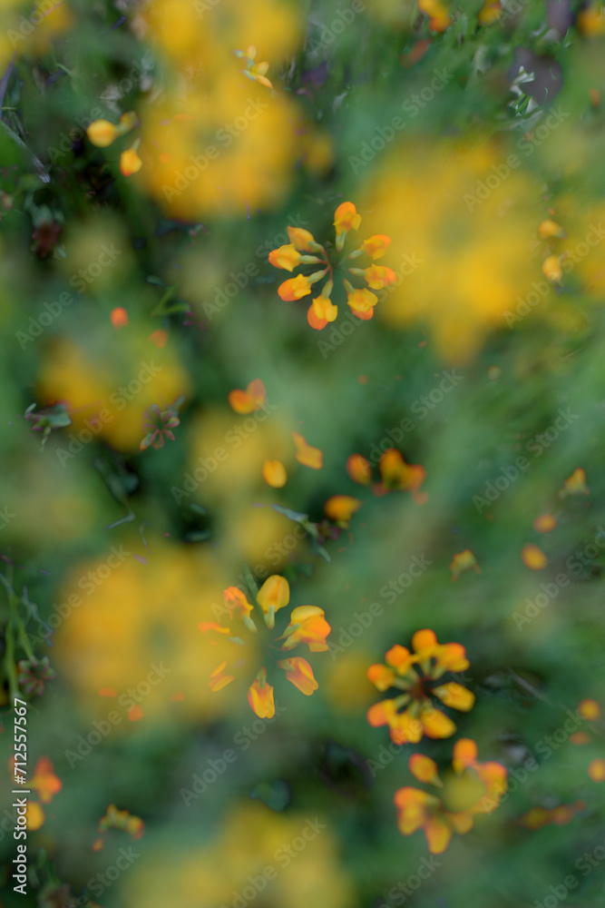 Abstract and colorful blur of wildflowers in a field, creating a dreamy and artistic representation of natural beauty Abstract and colorful blur of wildflowers in a field, creating a dreamy and artistic representation of natural beauty