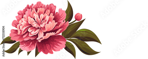 Peony flower icon. Peonies on transparent background. Watercolor pink peony flowers. Realistic peony flowers with leaves . Hand drawn botanical floral decoration photo
